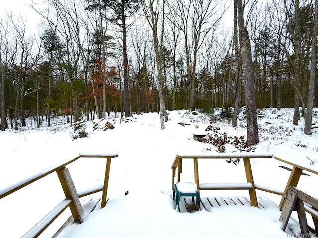 Single Family Mohican  Sullivan County, NY 12737, MLS-947304-17