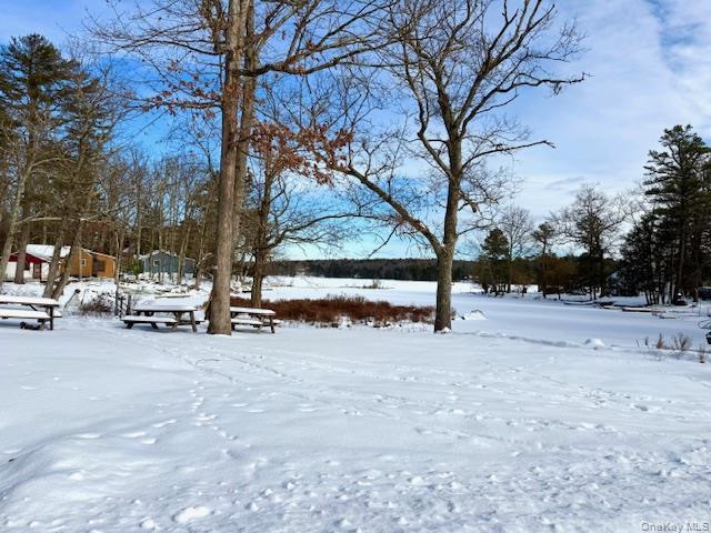 Single Family Mohican  Sullivan County, NY 12737, MLS-947304-2