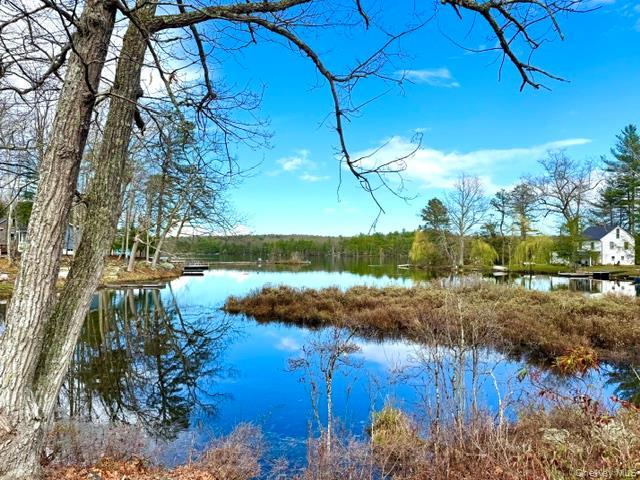 Single Family Mohican  Sullivan County, NY 12737, MLS-947304-20