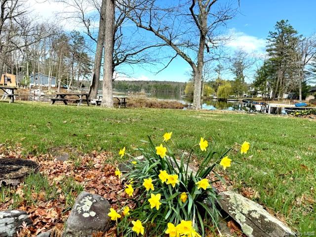 Single Family Mohican  Sullivan County, NY 12737, MLS-947304-21