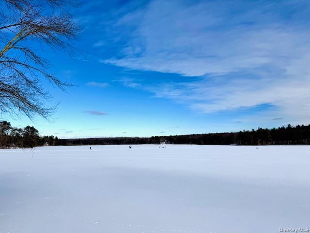 Single Family Mohican  Sullivan County, NY 12737, MLS-947304-24