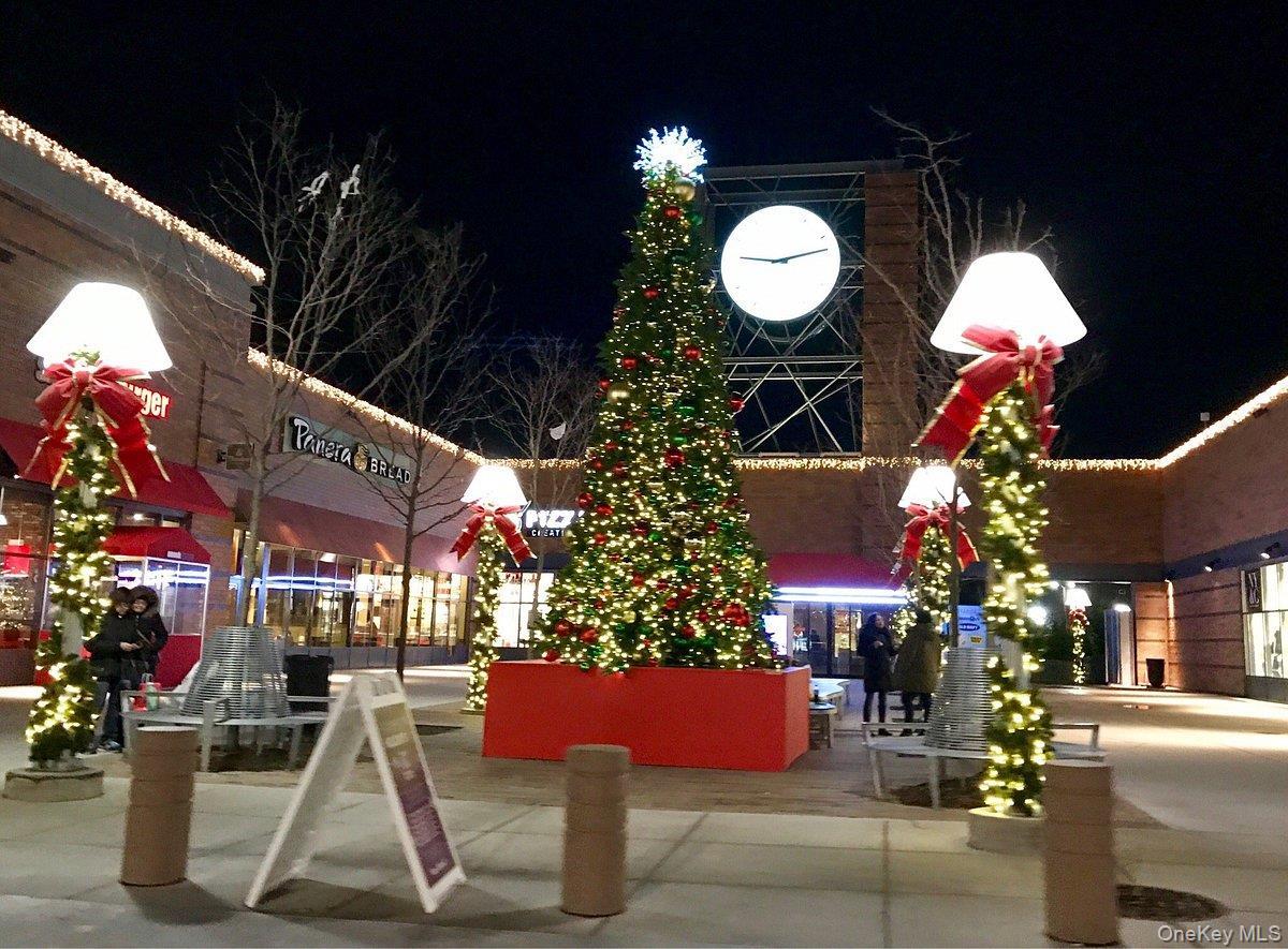 Condo Elton  Brooklyn, NY 11208, MLS-947320-18