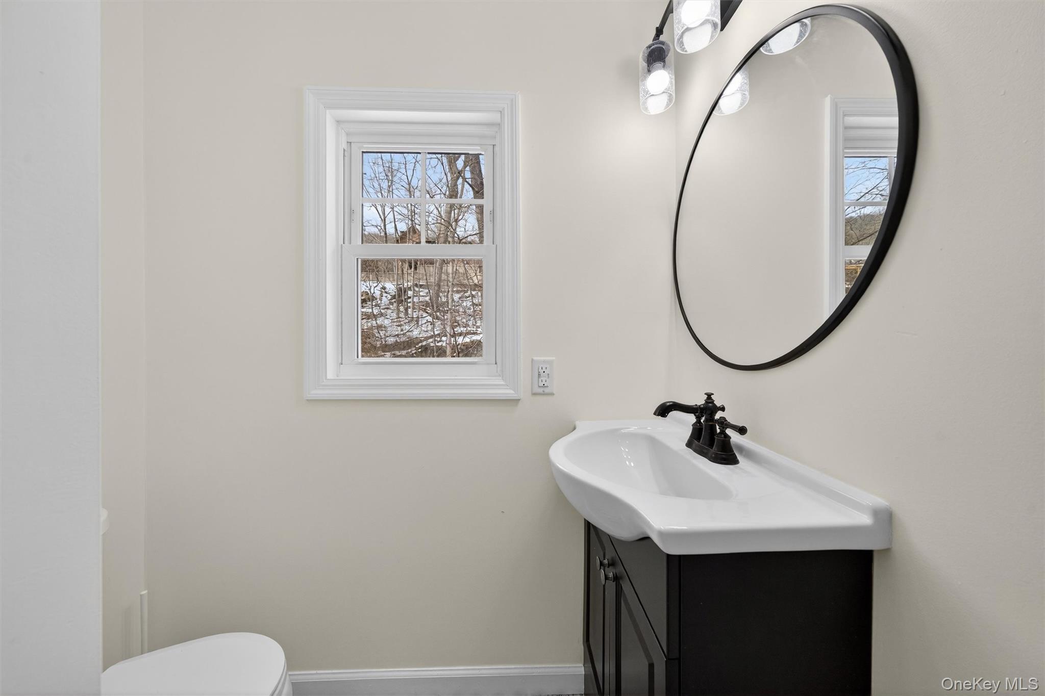 Single Family Blueberry  Orange County, NY 10925, MLS-947326-17