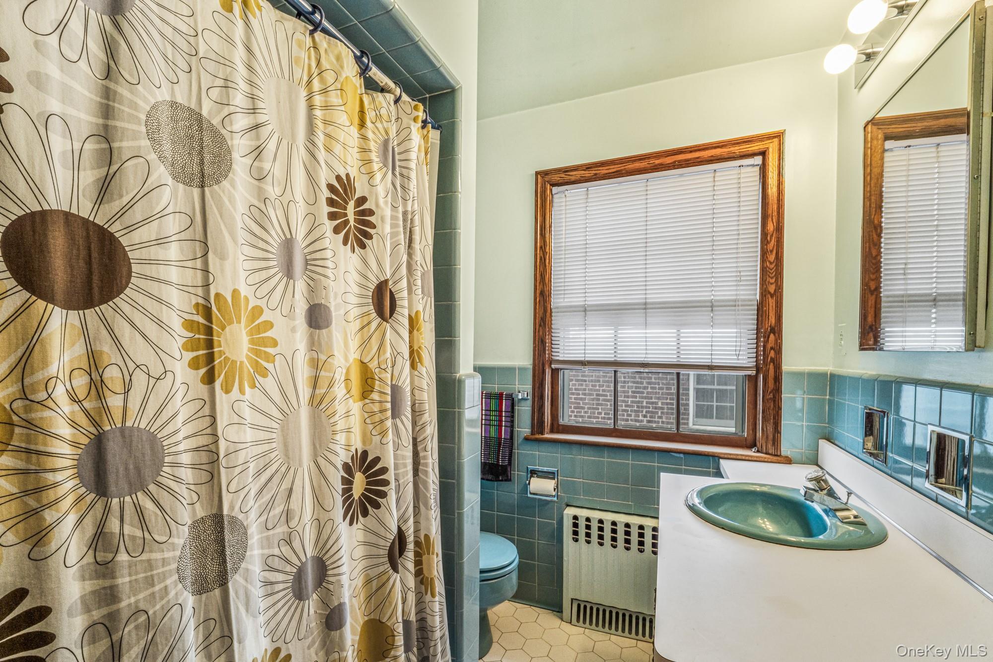 Single Family Puritan  Queens, NY 11375, MLS-947356-29