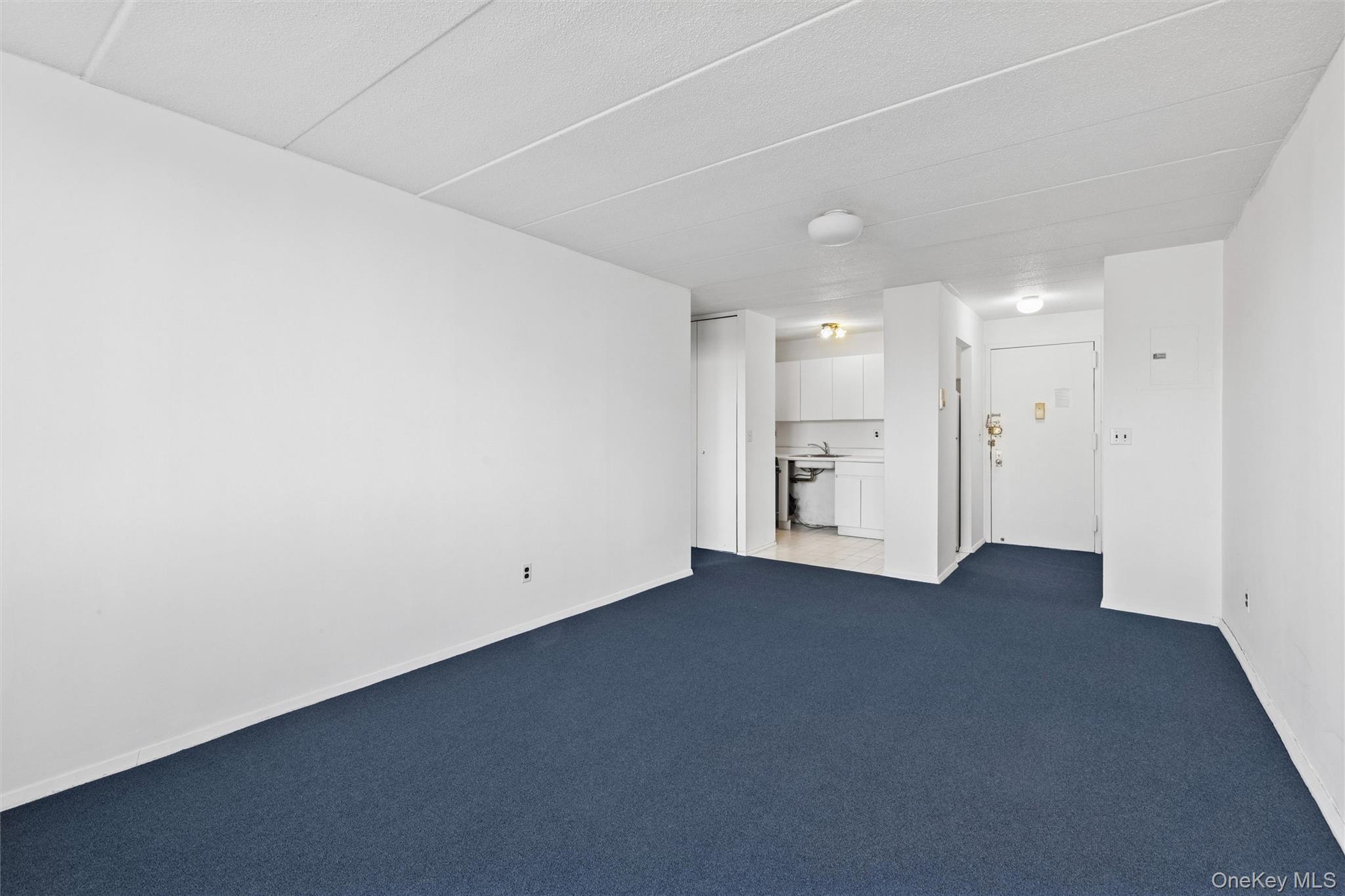 Condo 63rd Queens, NY 11374, MLS-947454-10