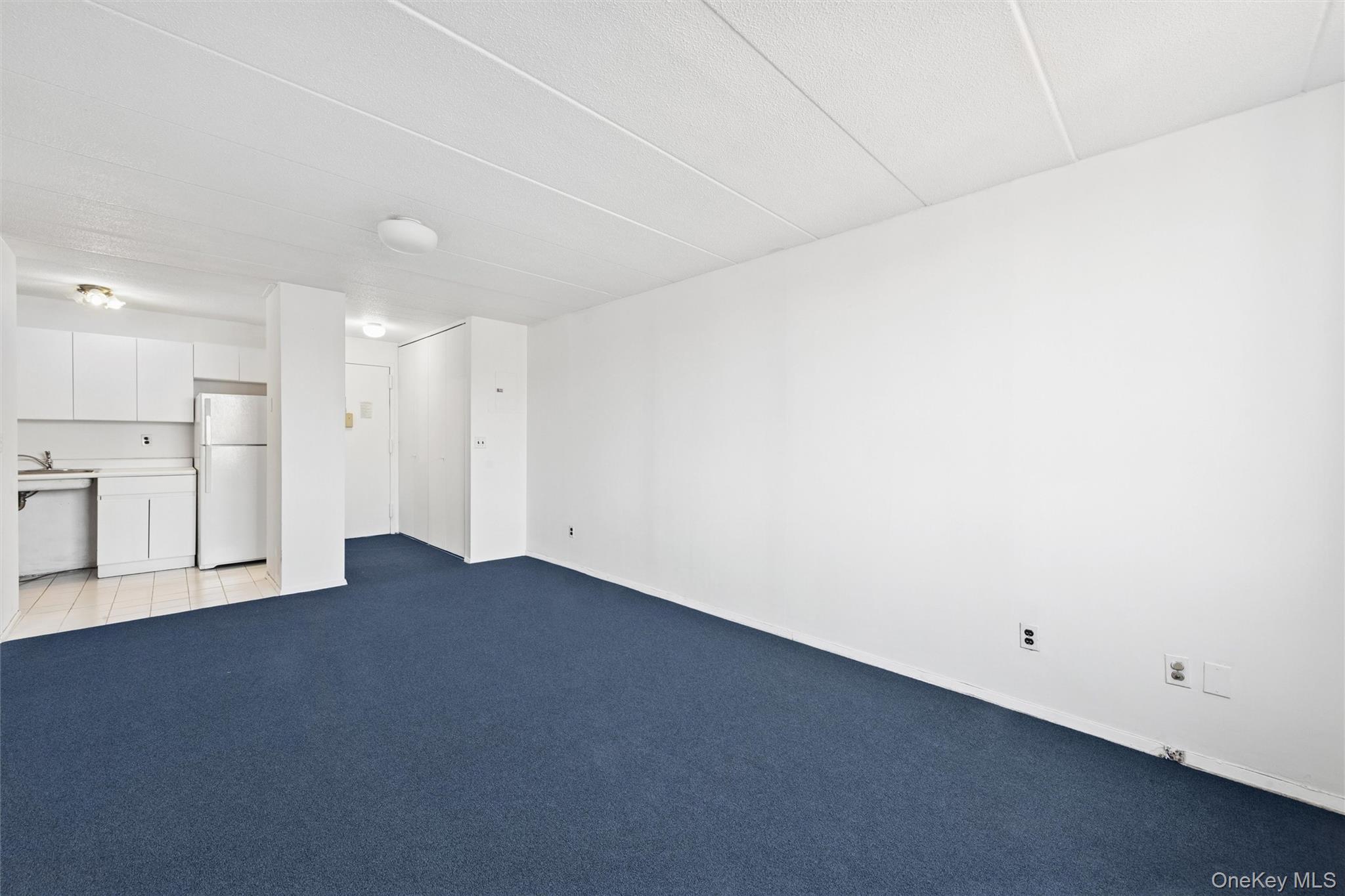 Condo 63rd Queens, NY 11374, MLS-947454-9