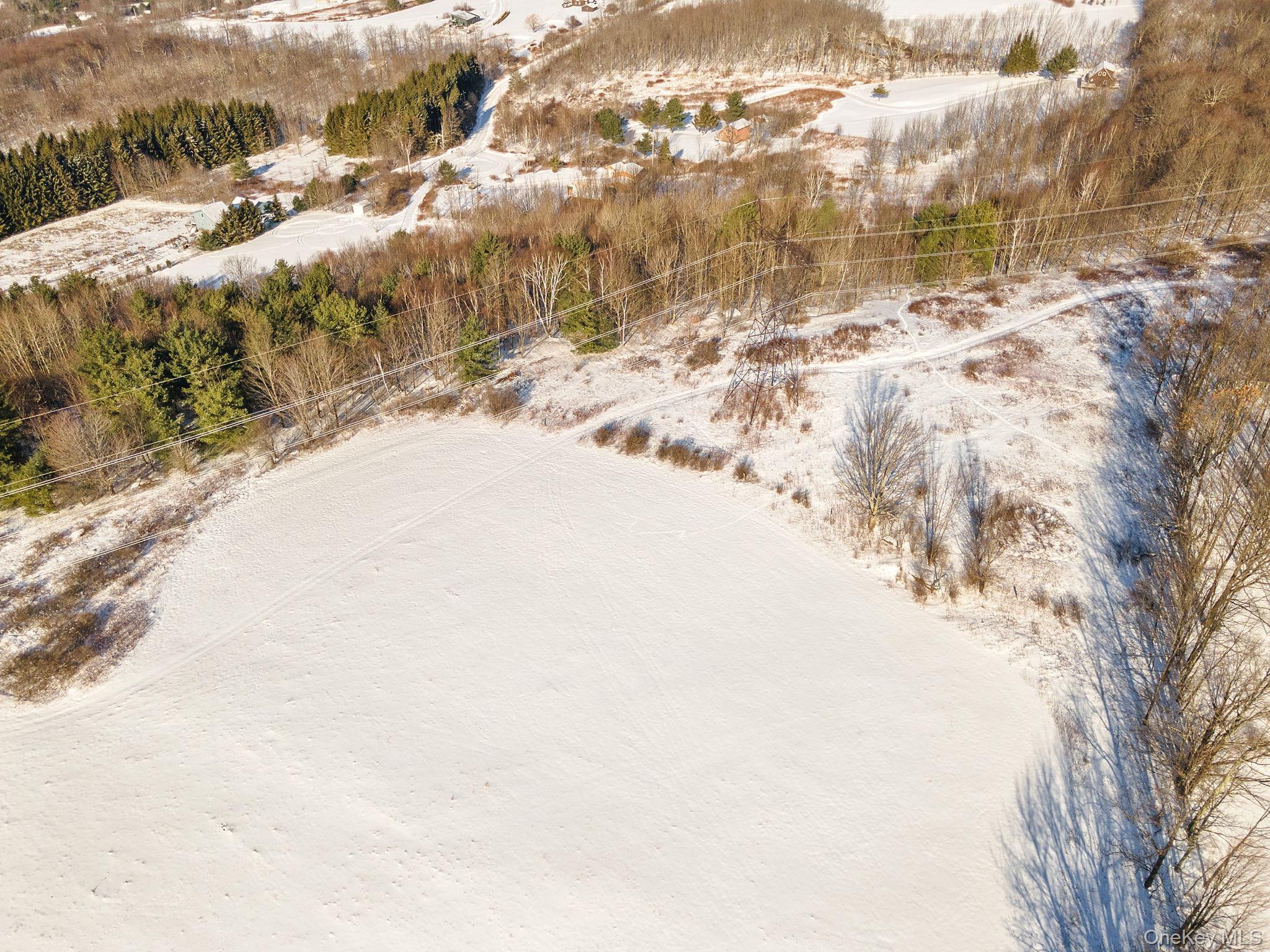 Single Family Doc Stark  Delaware County, NY 12167, MLS-947471-13