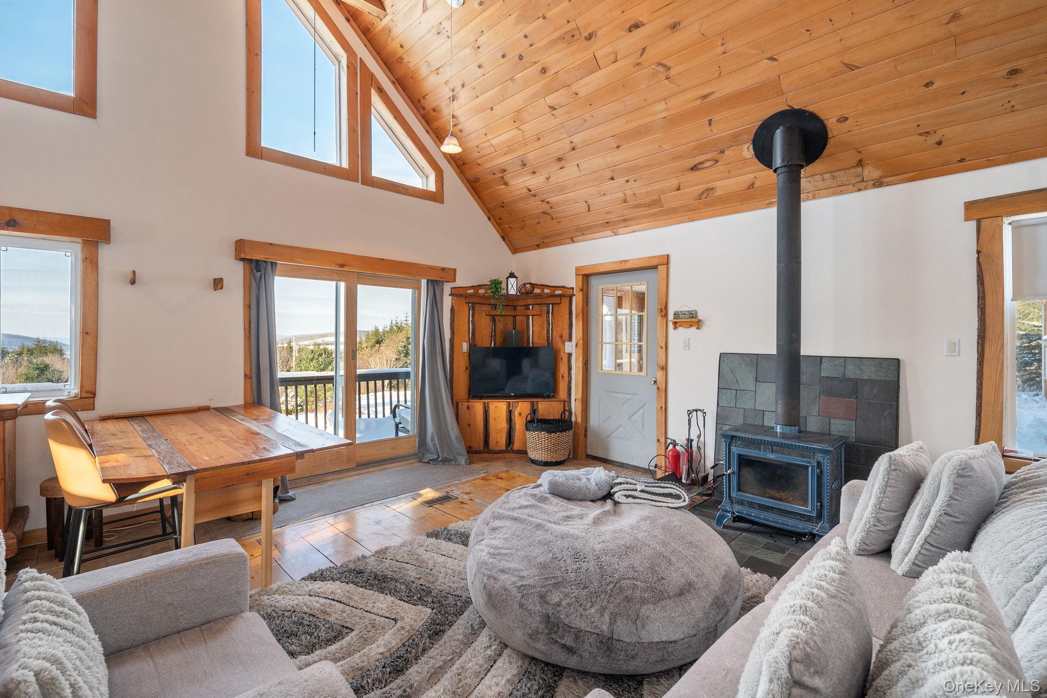 Single Family Doc Stark  Delaware County, NY 12167, MLS-947471-19