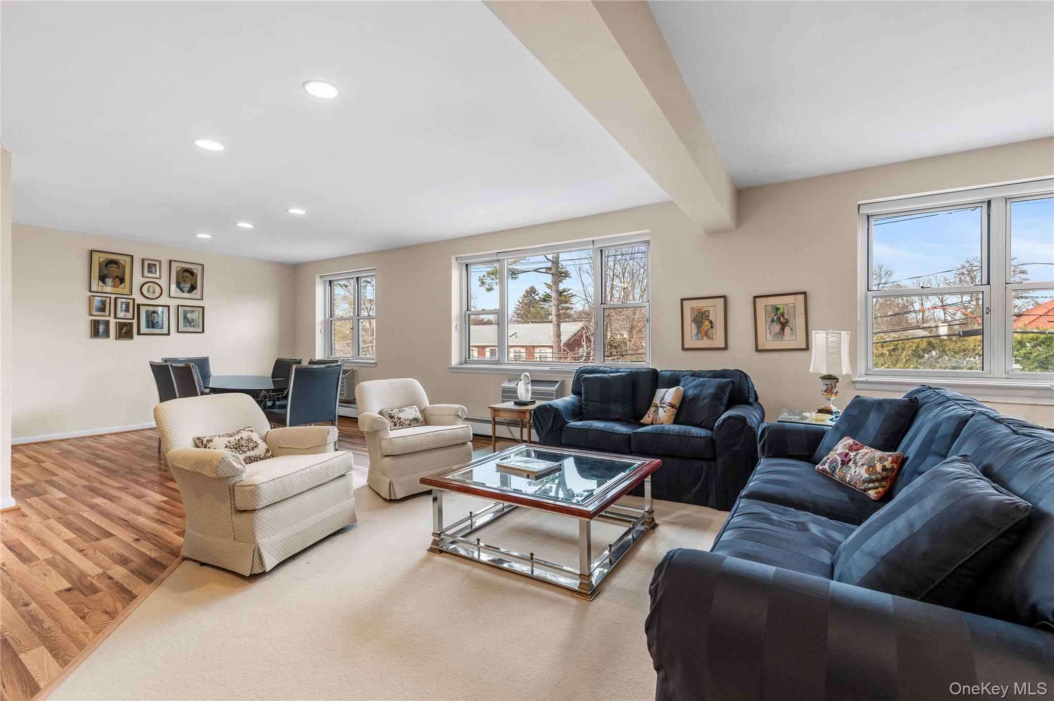 Coop Chapel  Nassau County, NY 11021, MLS-947493-13