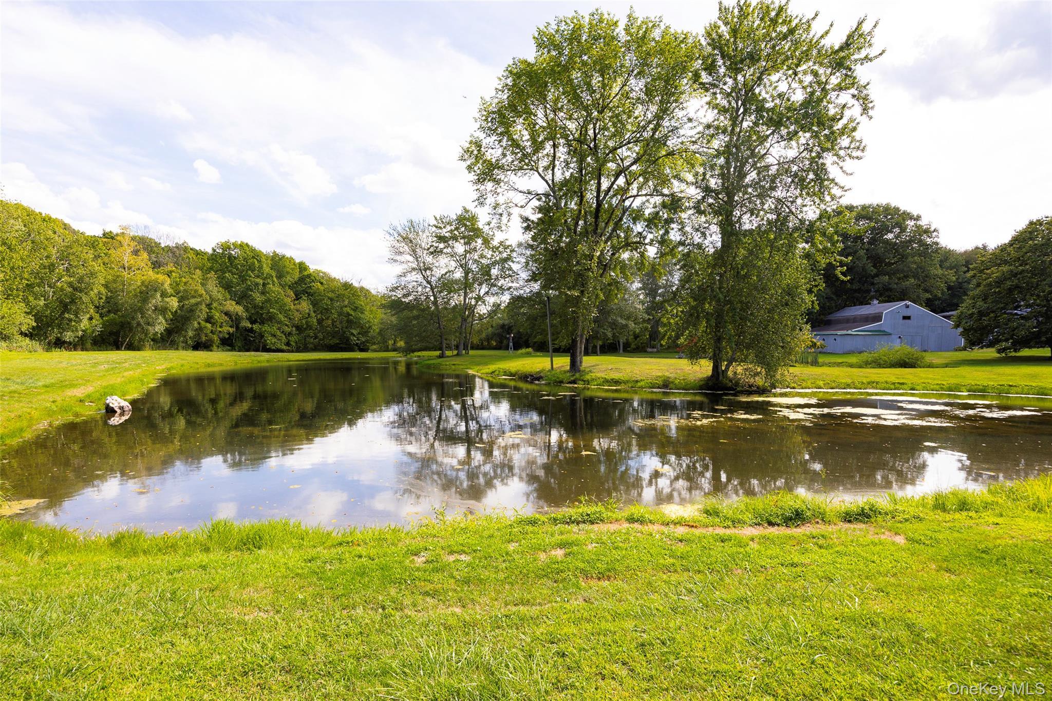 Single Family Deer Pond  Dutchess County, NY 12585, MLS-947615-36