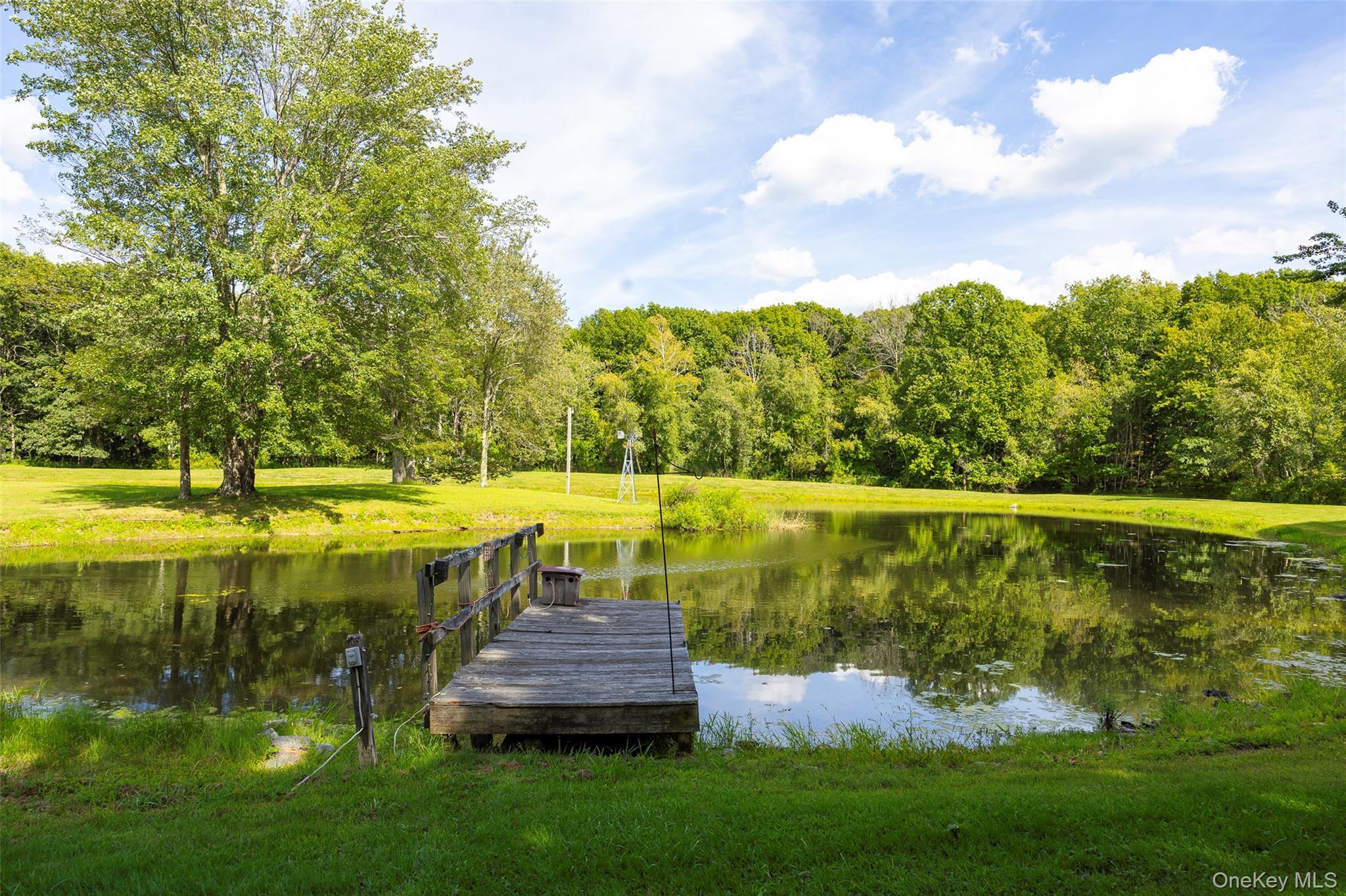 Single Family Deer Pond  Dutchess County, NY 12585, MLS-947615-37