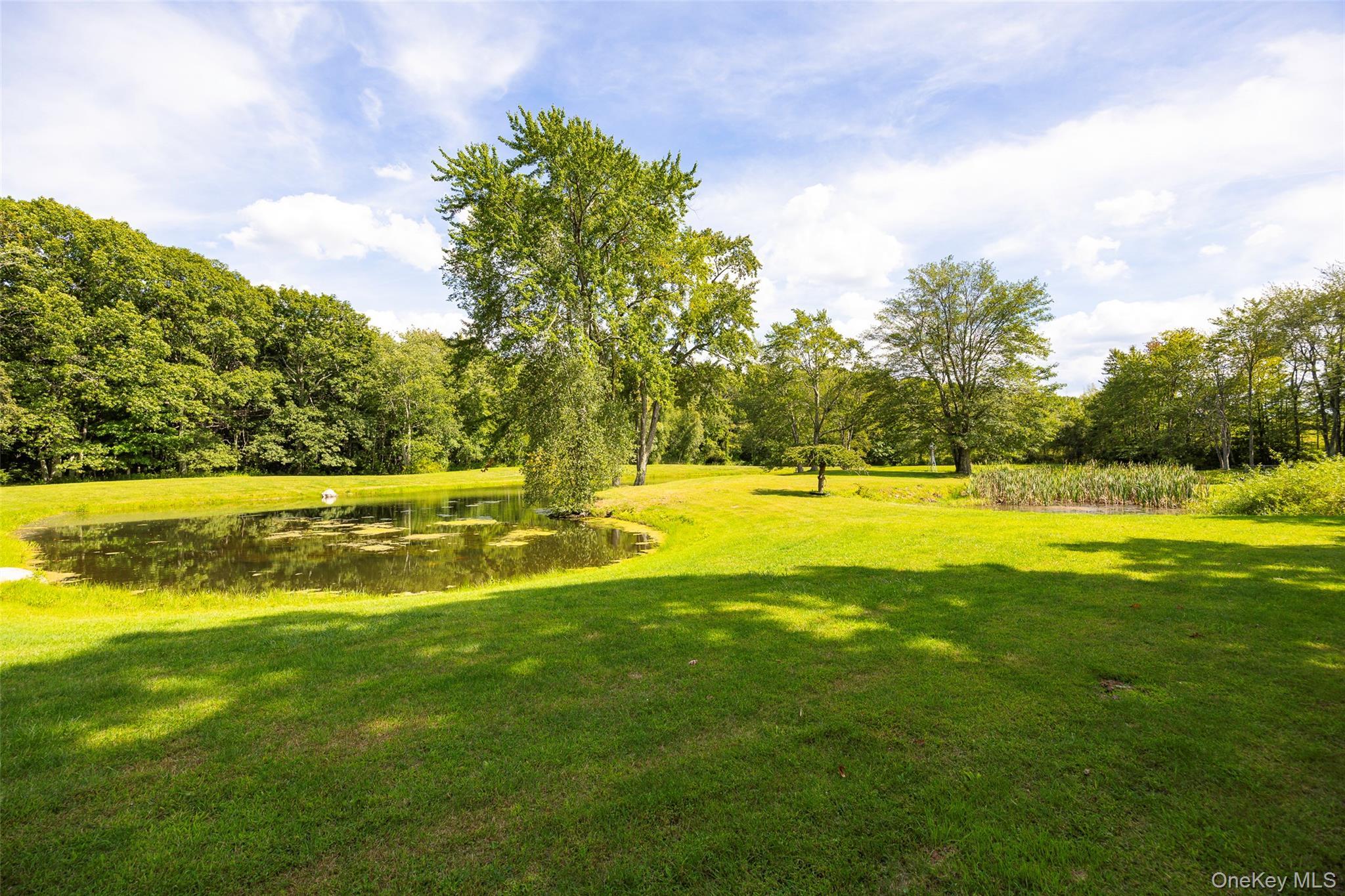 Single Family Deer Pond  Dutchess County, NY 12585, MLS-947615-39