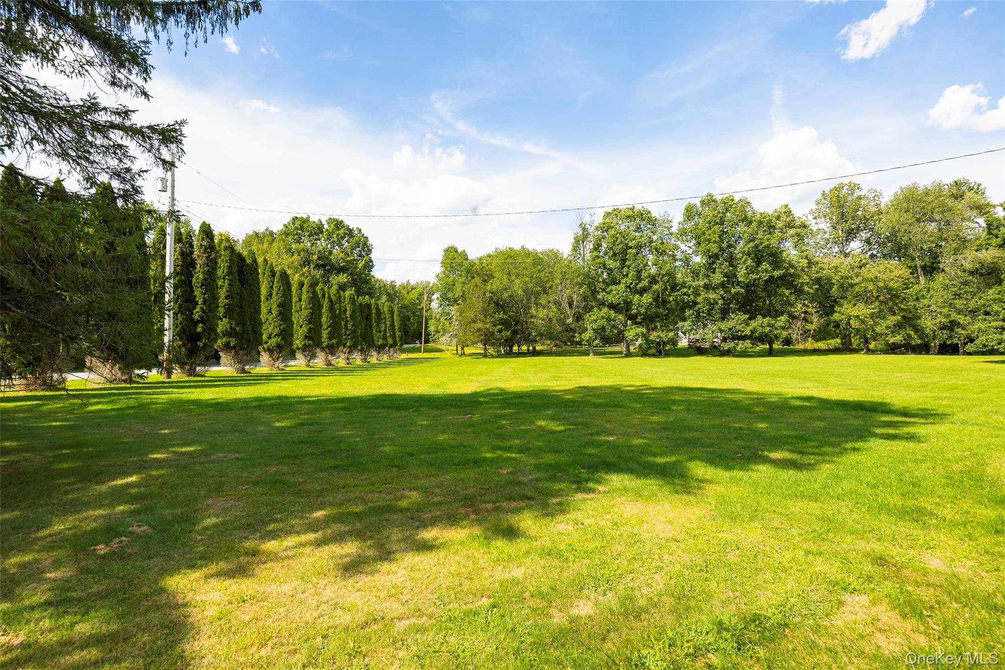 Single Family Deer Pond  Dutchess County, NY 12585, MLS-947615-40