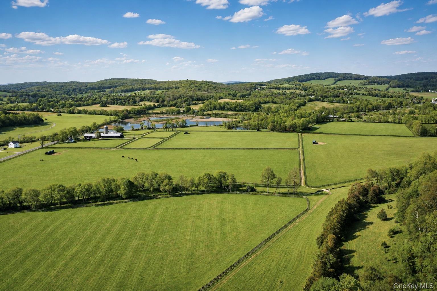 Single Family Rt-82  Dutchess County, NY 12567, MLS-947632-7