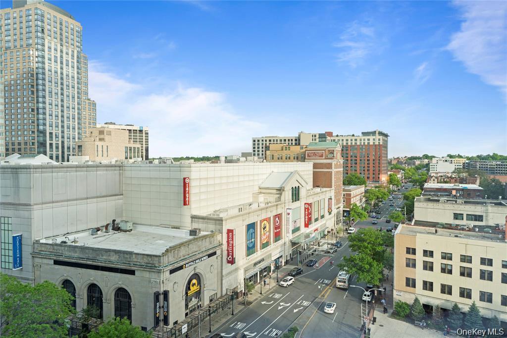 Condo Renaissance Square Westchester County, NY 10601, MLS-947672-21
