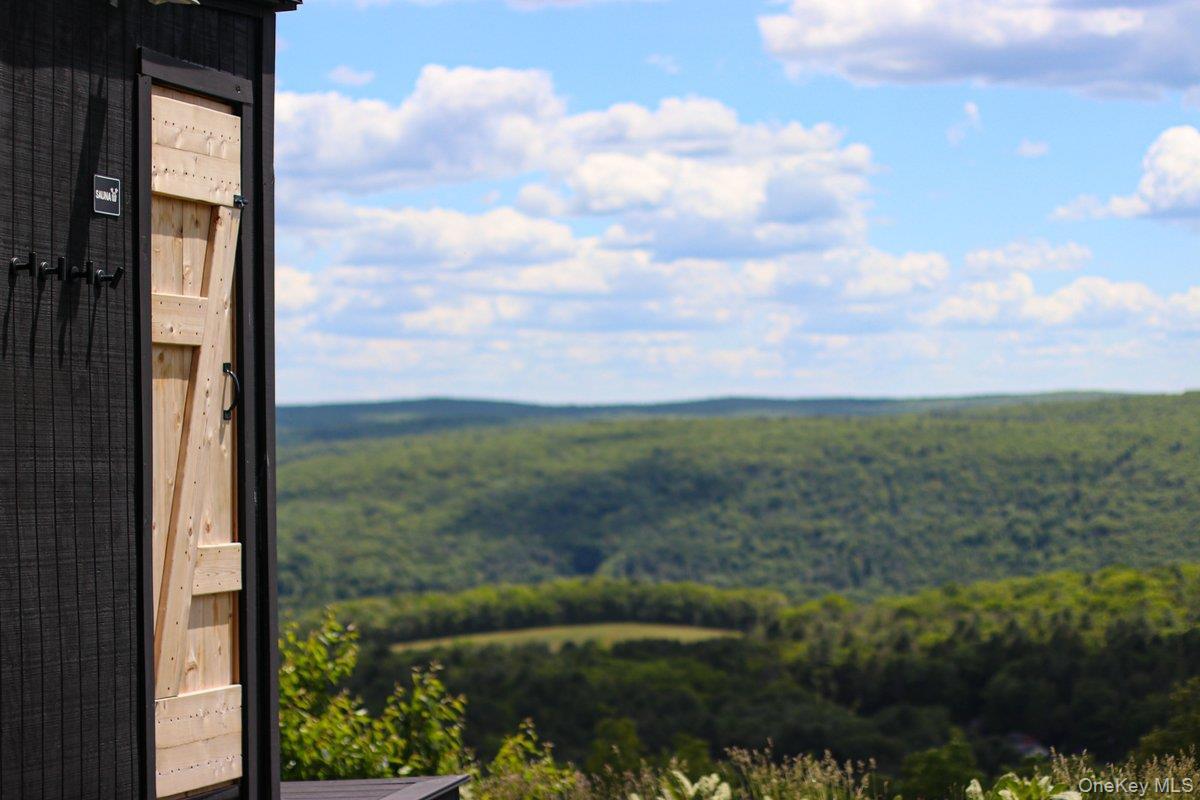Single Family Mapes Road Sullivan County, NY 12719, MLS-947681-44