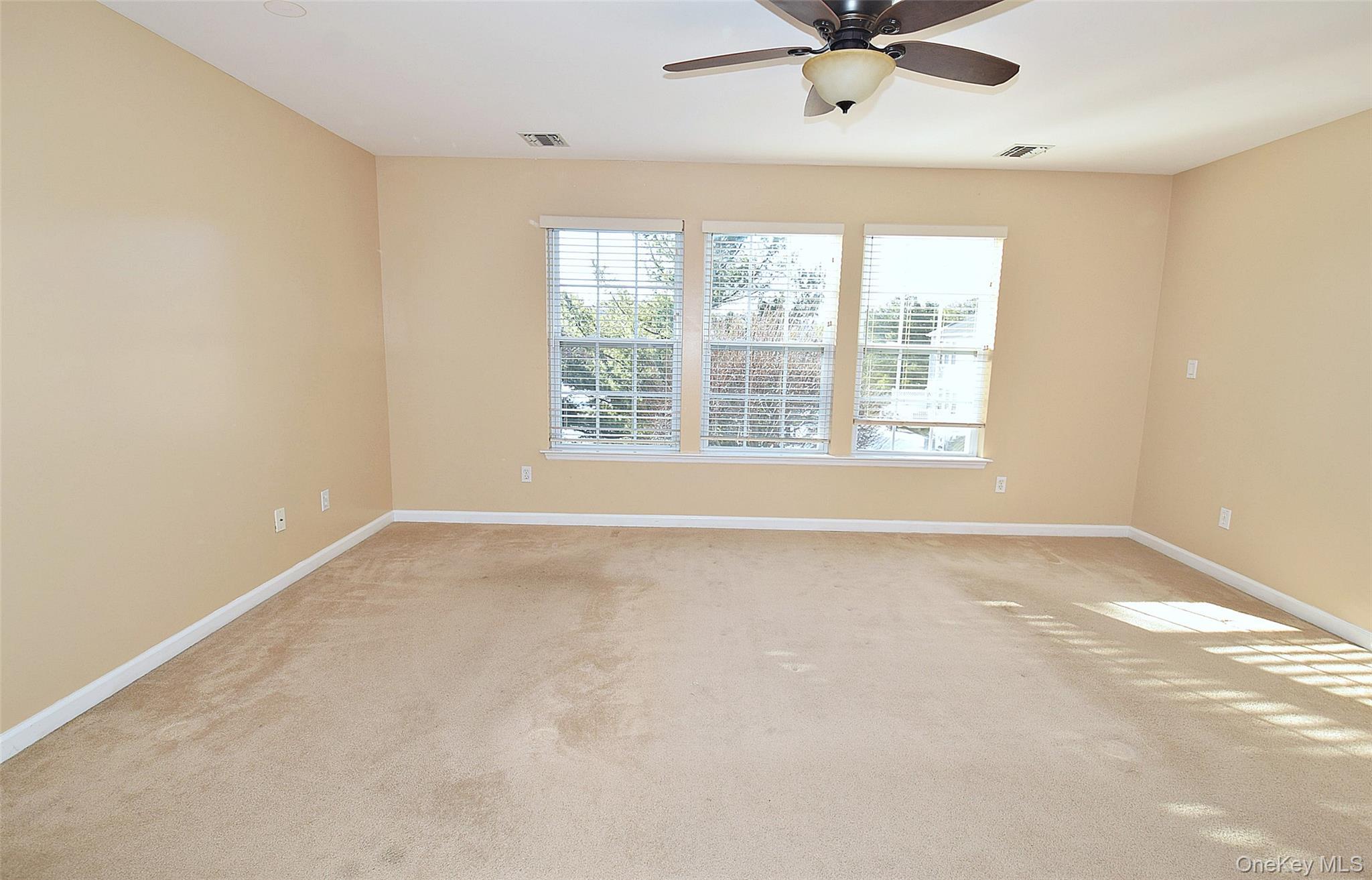 Condo Virginia Pine Suffolk County, NY 11706, MLS-947720-4