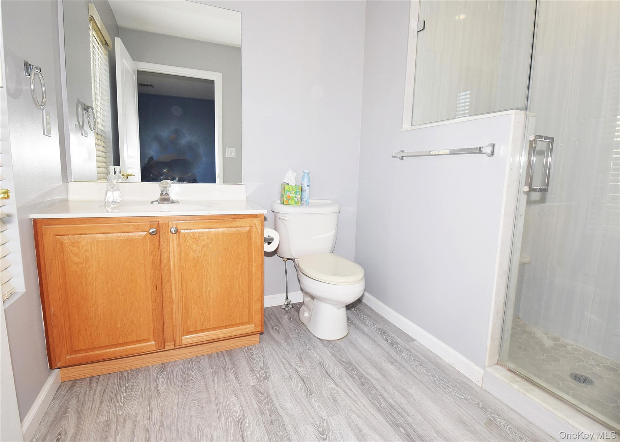 Condo Virginia Pine Suffolk County, NY 11706, MLS-947720-8