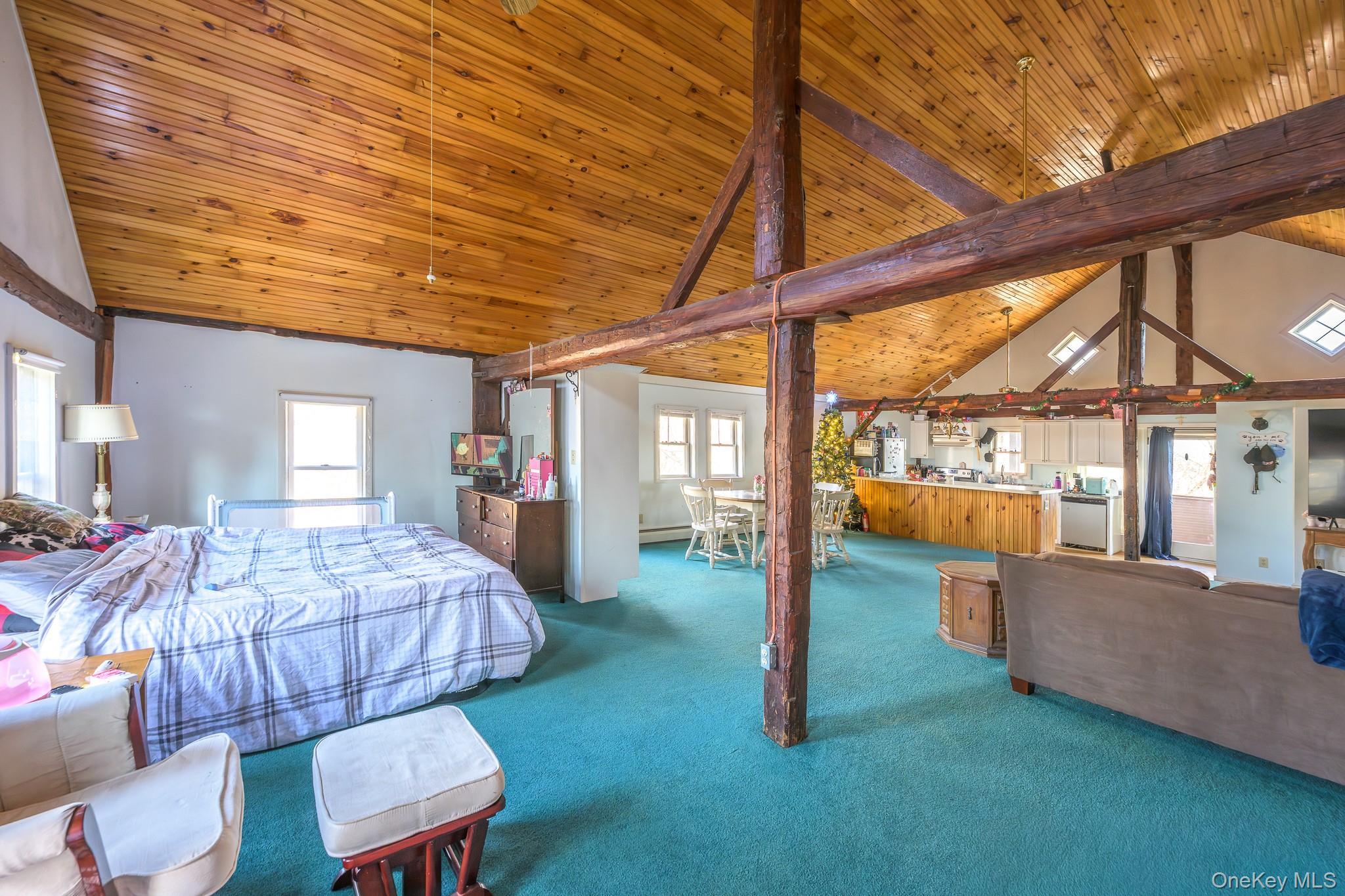 Single Family Scheller Park  Greene County, NY 12192, MLS-947765-22