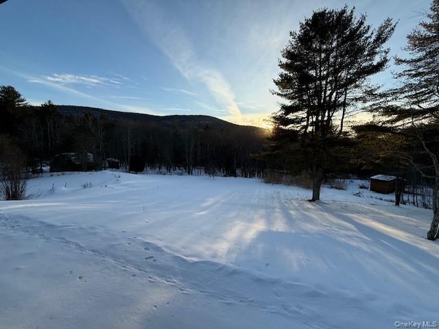 Single Family Red Hill  Ulster County, NY 12725, MLS-947959-2