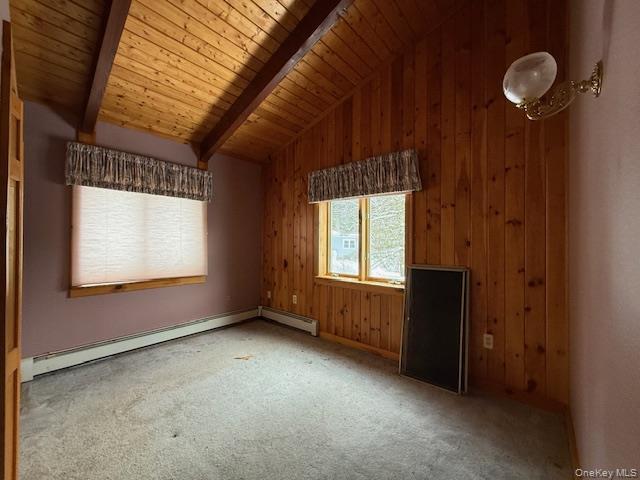 Single Family Red Hill  Ulster County, NY 12725, MLS-947959-29