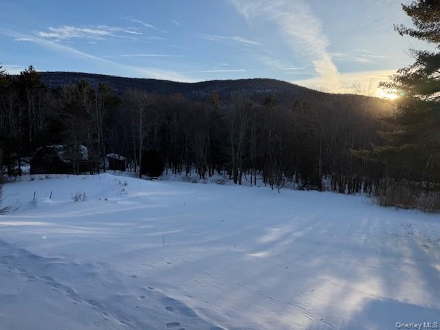 Single Family Red Hill  Ulster County, NY 12725, MLS-947959-42