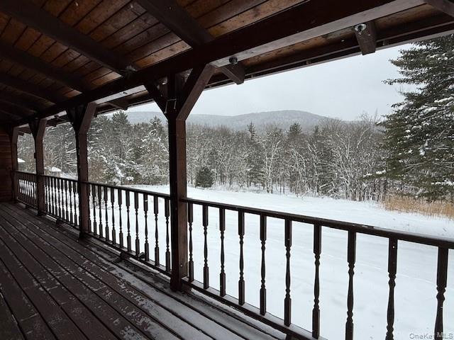 Single Family Red Hill  Ulster County, NY 12725, MLS-947959-5