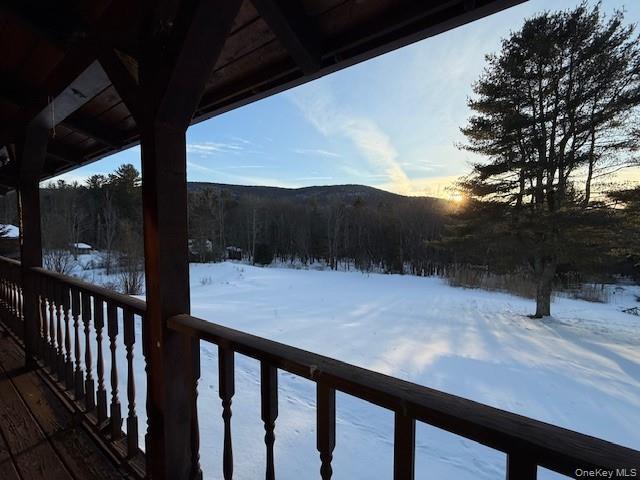 Single Family Red Hill  Ulster County, NY 12725, MLS-947959-6