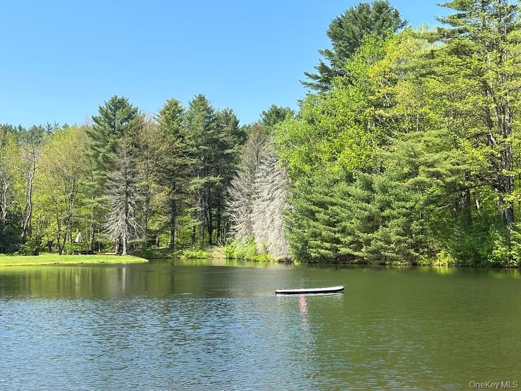 Single Family Rich Road  Delaware County, NY 13820, MLS-948066-2