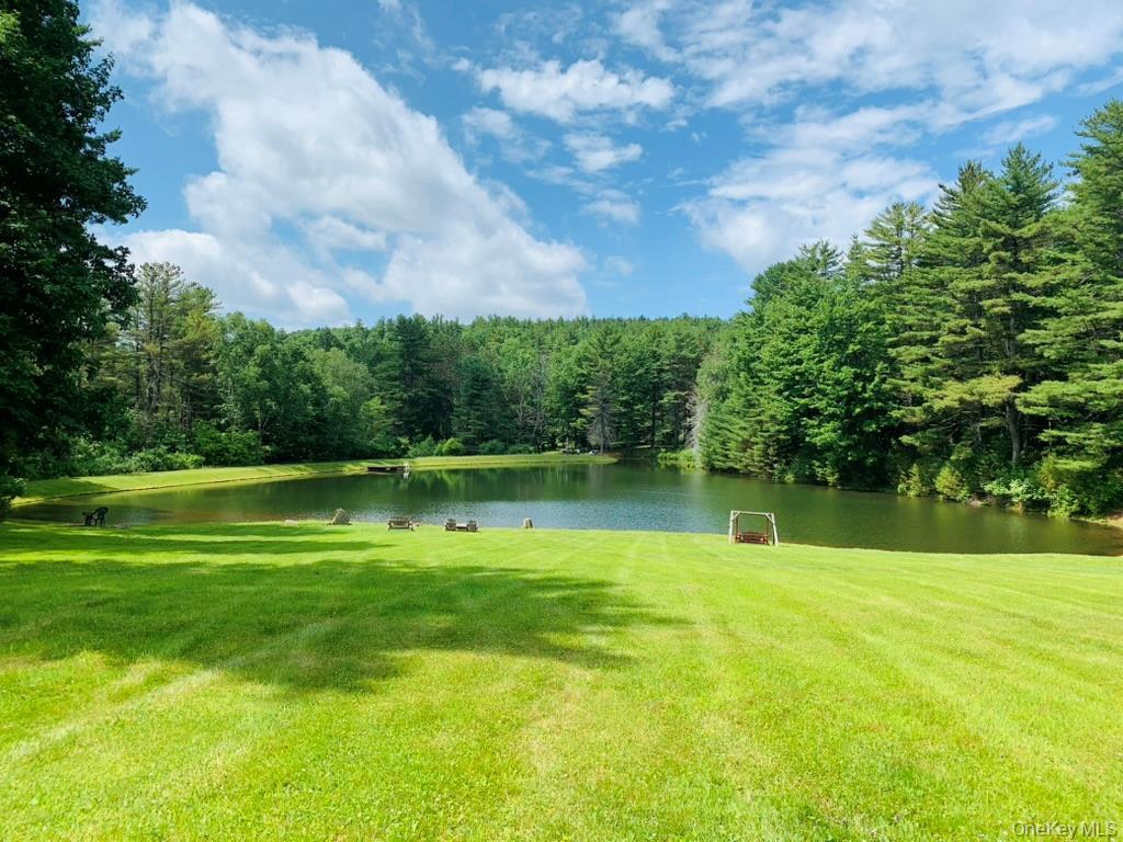 Single Family Rich Road  Delaware County, NY 13820, MLS-948066-3