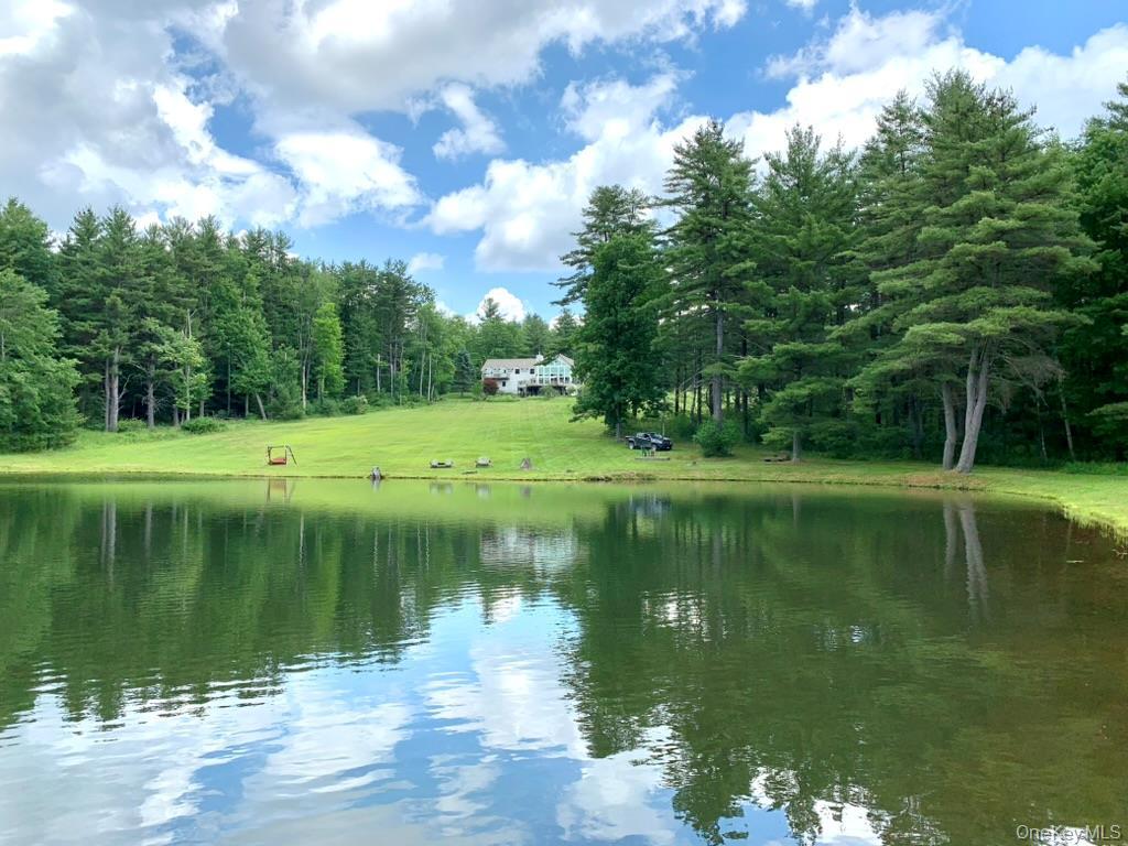 Single Family Rich Road  Delaware County, NY 13820, MLS-948066-4