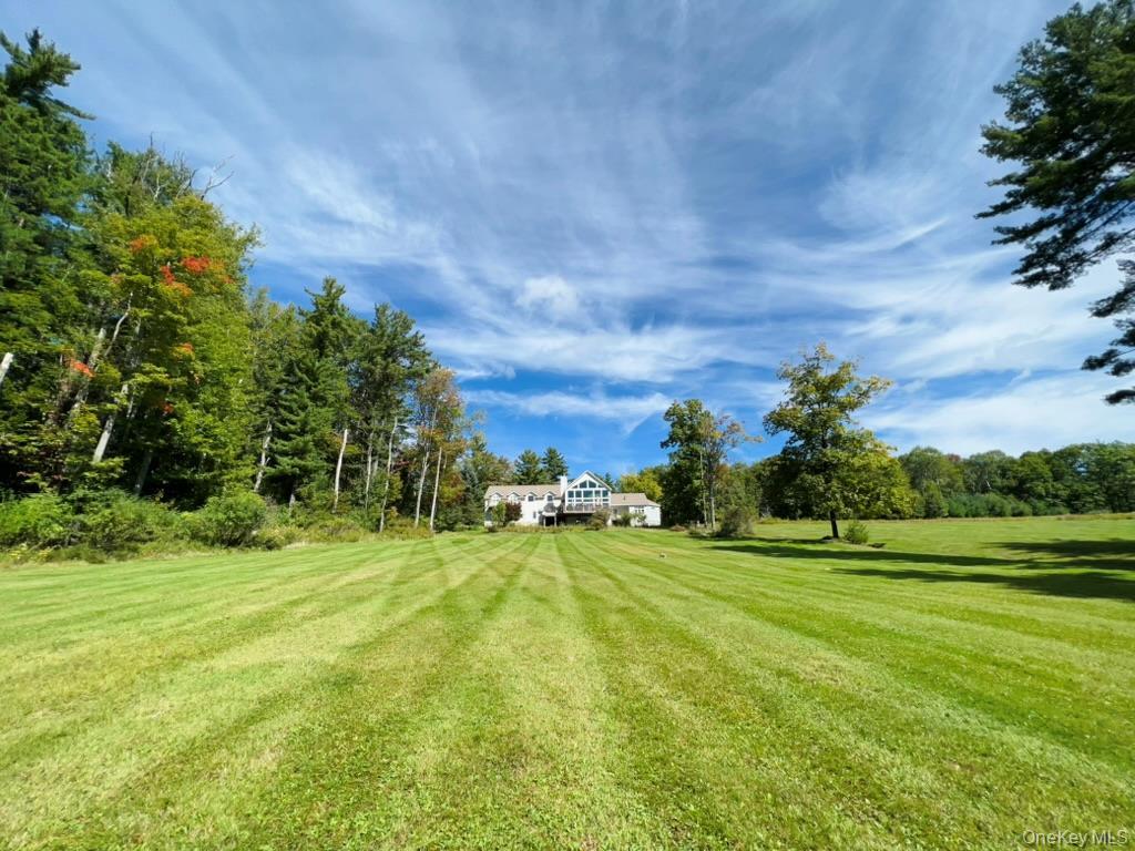 Single Family Rich Road  Delaware County, NY 13820, MLS-948066-45