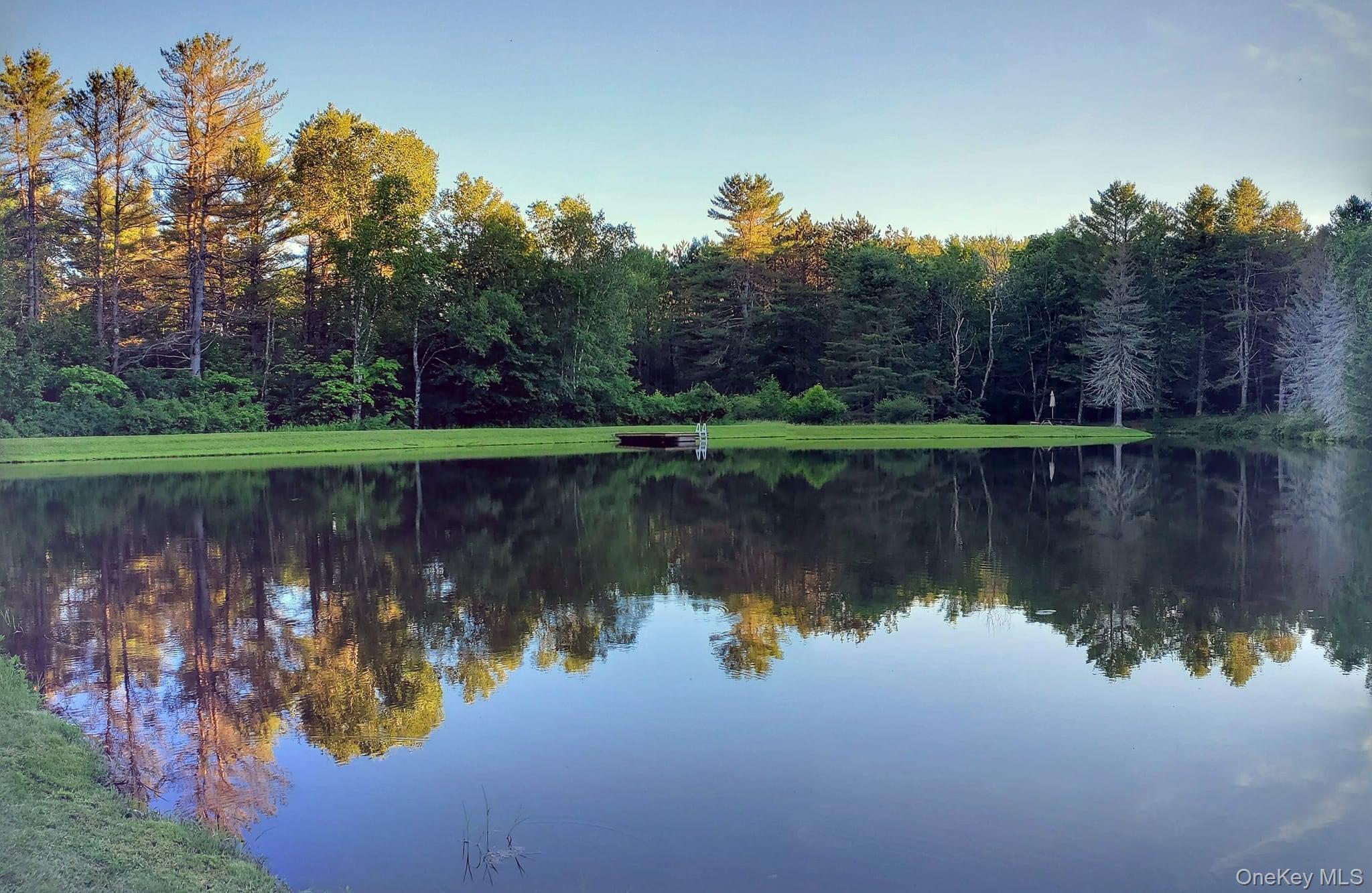 Single Family Rich Road  Delaware County, NY 13820, MLS-948066-46