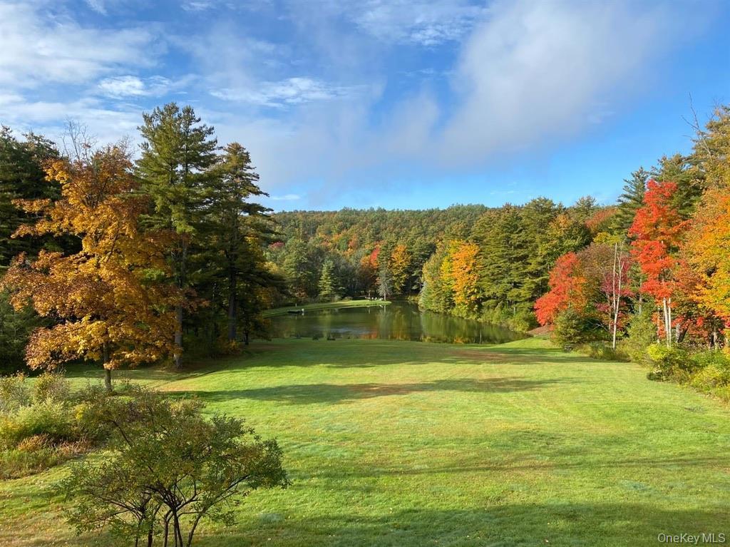 Single Family Rich Road  Delaware County, NY 13820, MLS-948066-5
