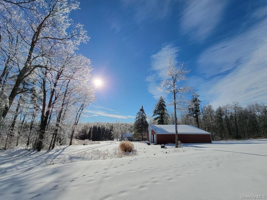 Single Family Rich Road  Delaware County, NY 13820, MLS-948066-8