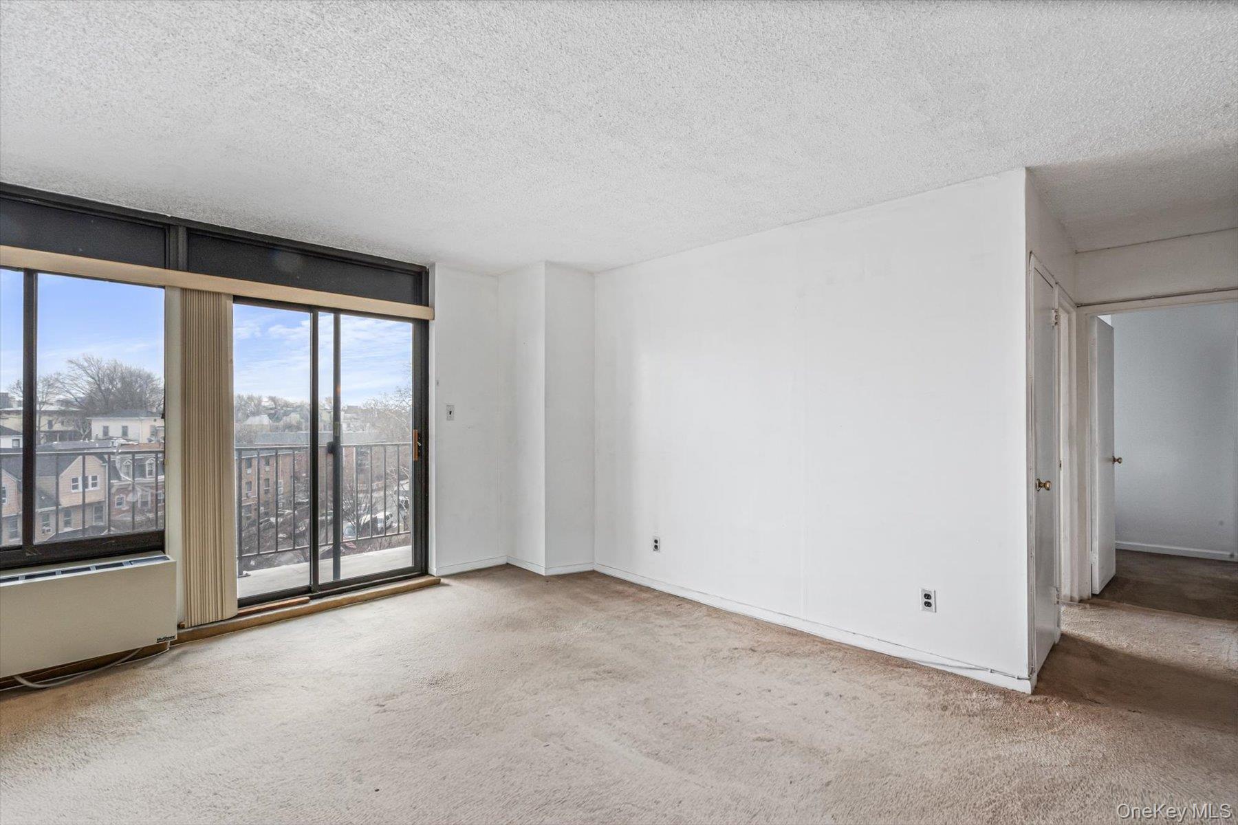 Condo Shore  Queens, NY 11102, MLS-948121-12