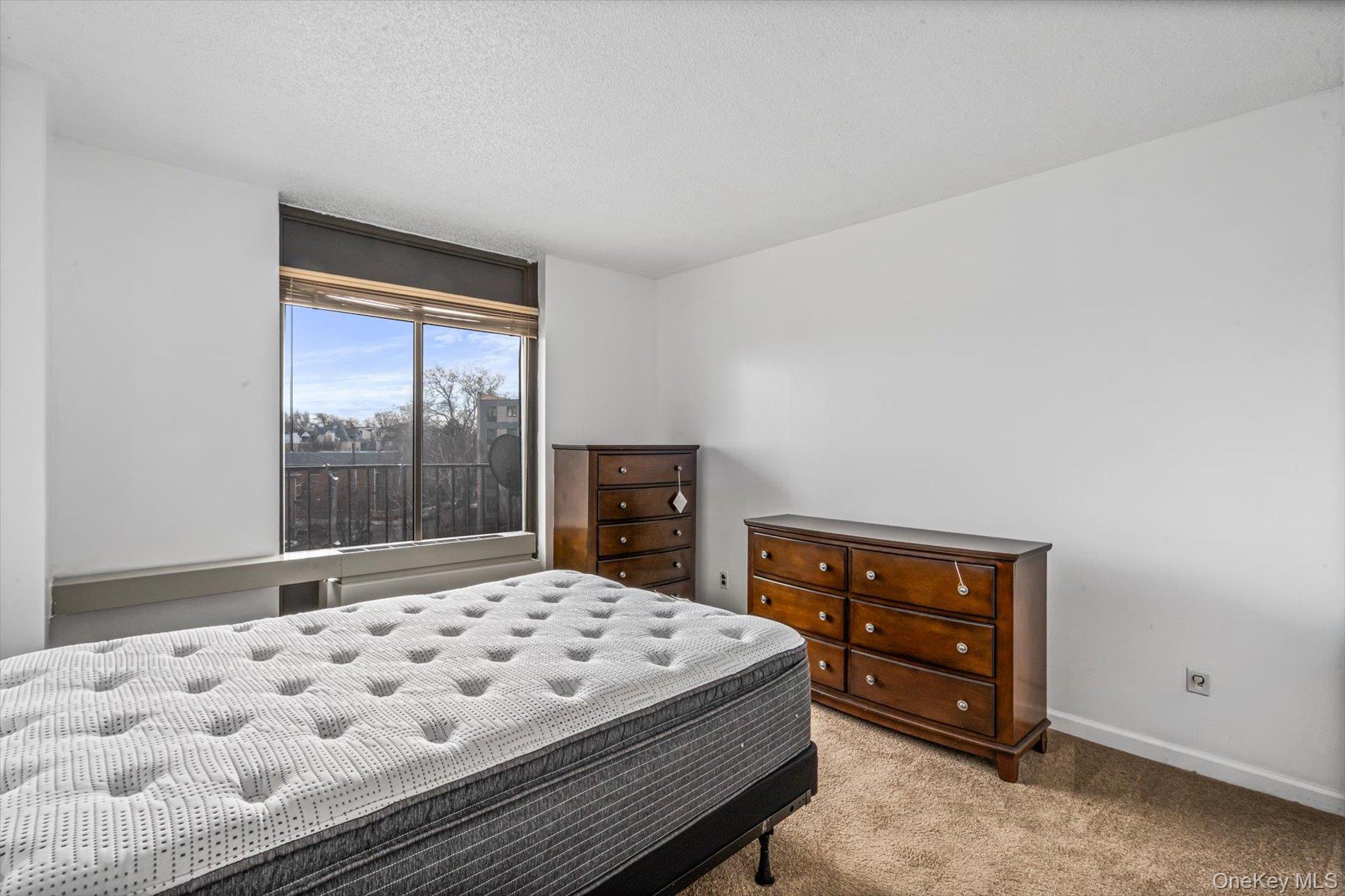 Condo Shore  Queens, NY 11102, MLS-948121-20