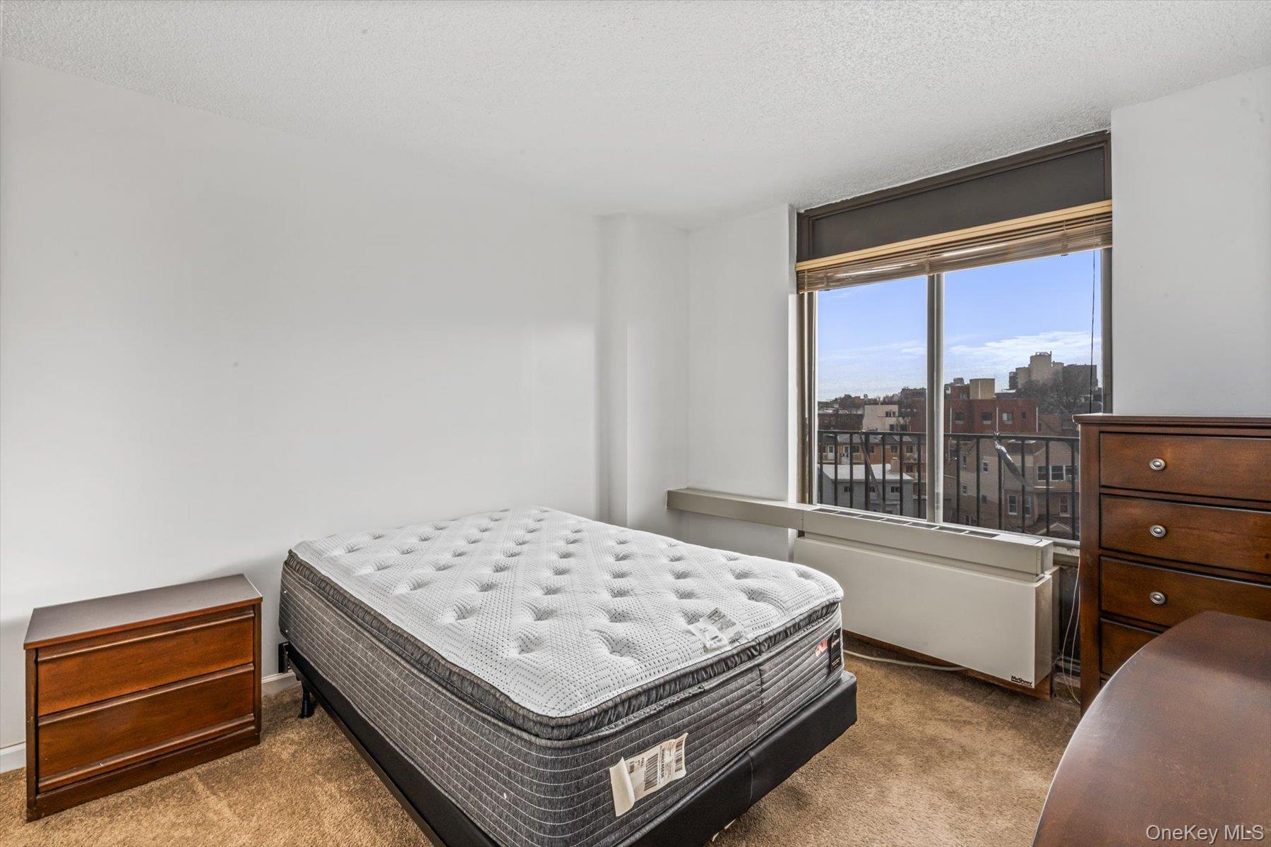 Condo Shore  Queens, NY 11102, MLS-948121-21