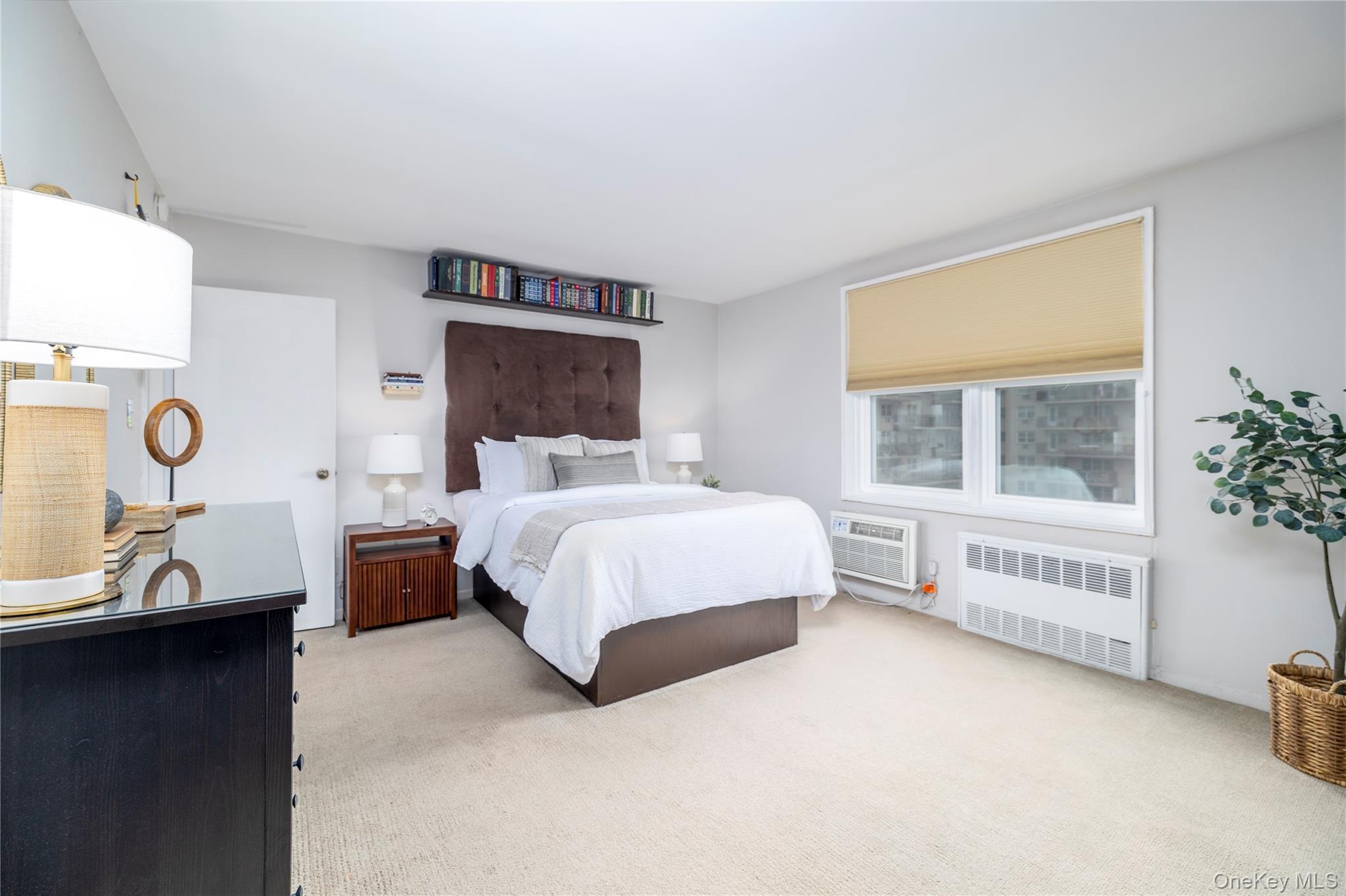 Coop Shore  Nassau County, NY 11561, MLS-948258-13