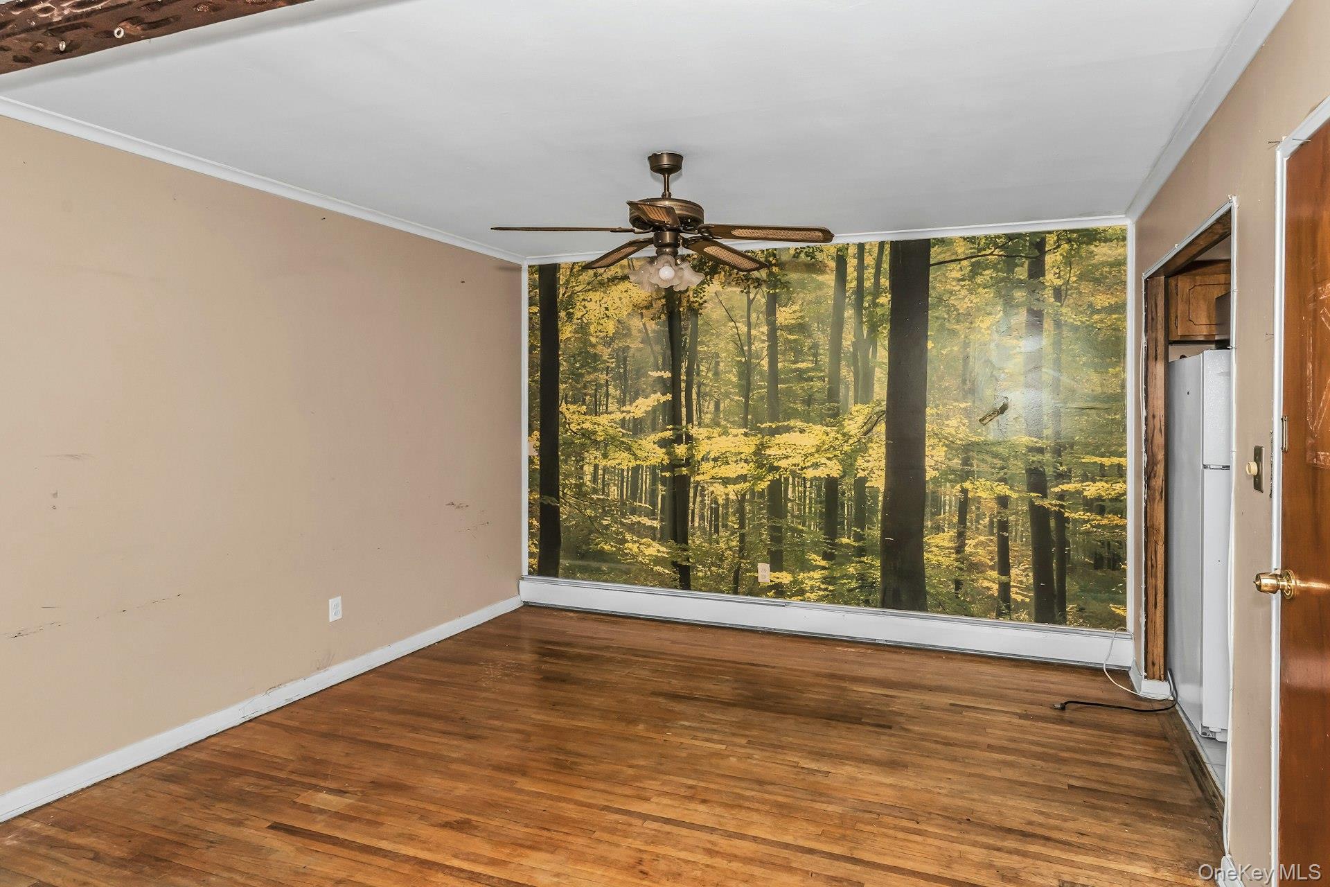 Single Family Lafayette  Queens, NY 11417, MLS-948277-14