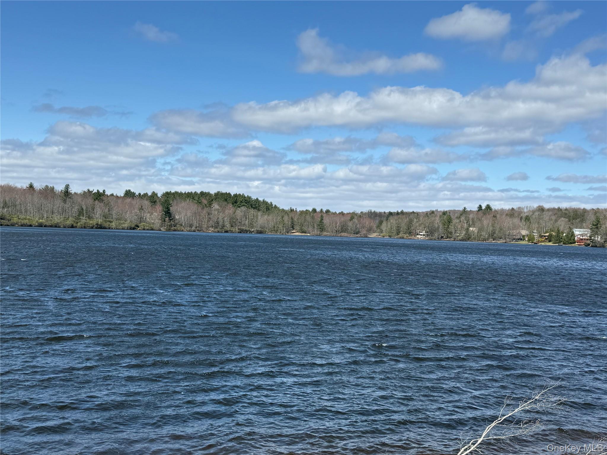 Single Family Gail  Sullivan County, NY 12759, MLS-948283-32