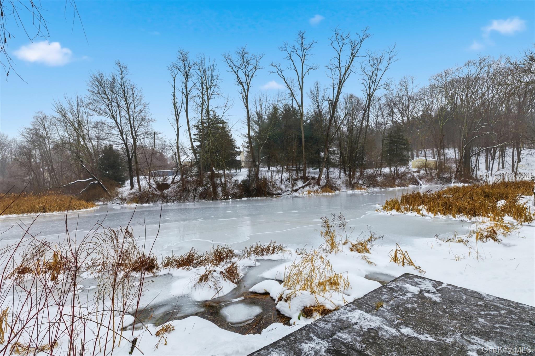 Single Family Parksville  Dutchess County, NY 12569, MLS-948350-13