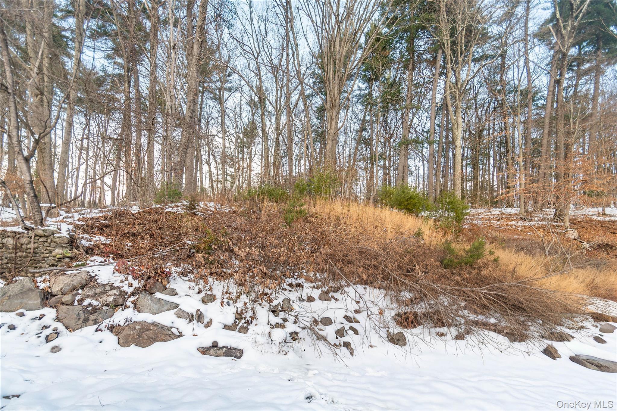 Single Family State Route 55  Ulster County, NY 12458, MLS-948418-40