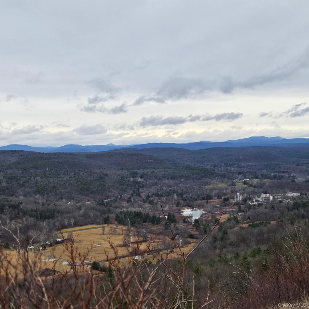 Single Family State Route 55  Ulster County, NY 12458, MLS-948418-42