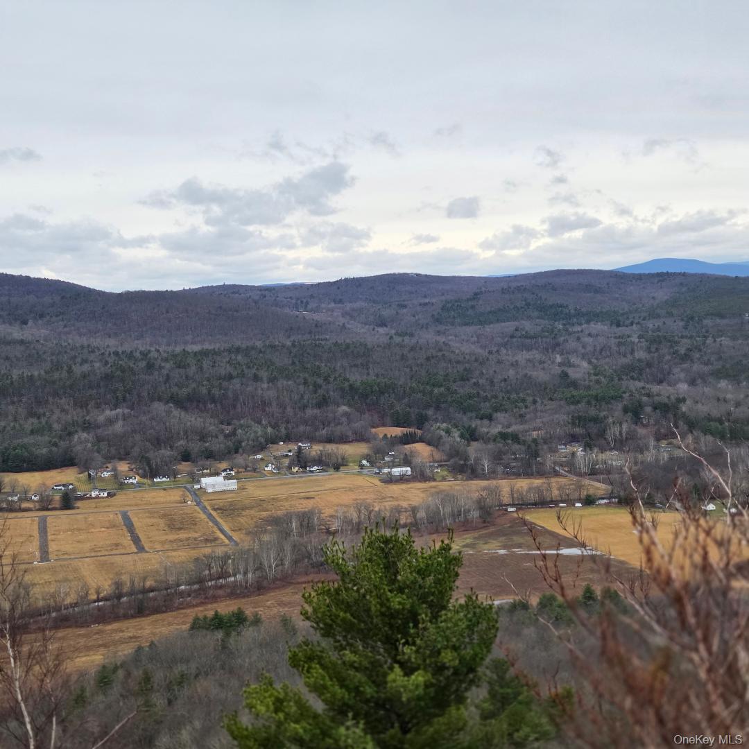 Single Family State Route 55  Ulster County, NY 12458, MLS-948418-43