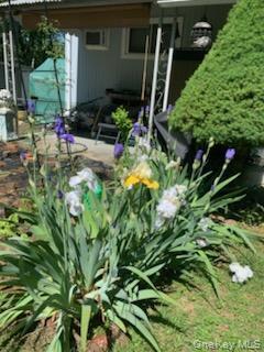 Single Family Fresh Pond  Suffolk County, NY 11933, MLS-948500-19