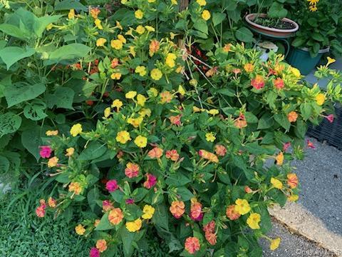 Single Family Fresh Pond  Suffolk County, NY 11933, MLS-948500-21