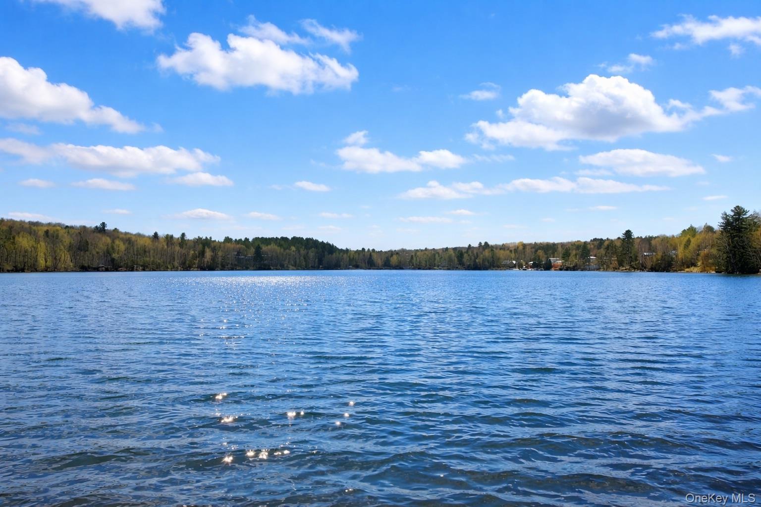 Single Family Ray  Sullivan County, NY 12733, MLS-948534-24