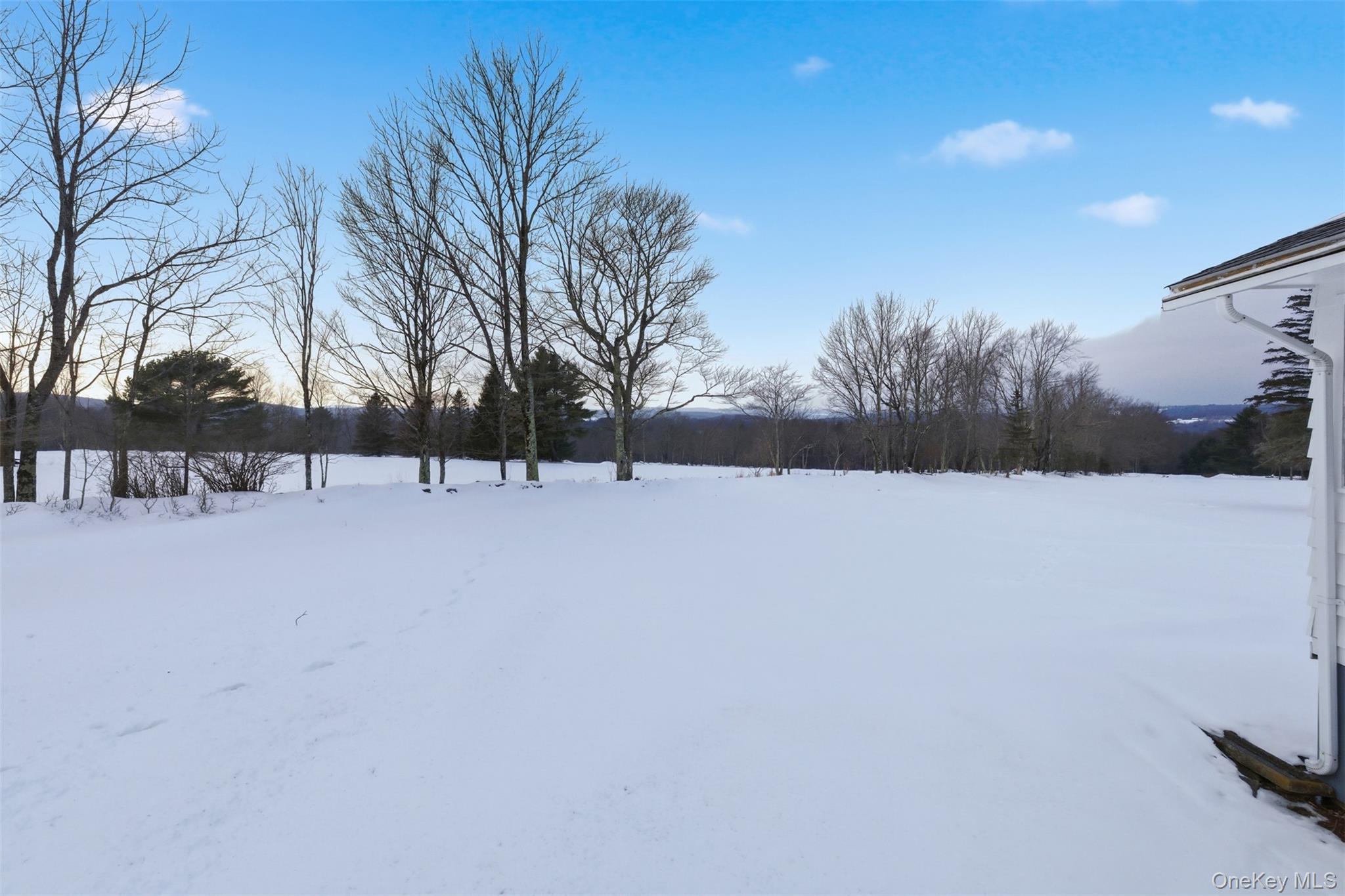 Single Family Rose  Sullivan County, NY 12788, MLS-948588-24