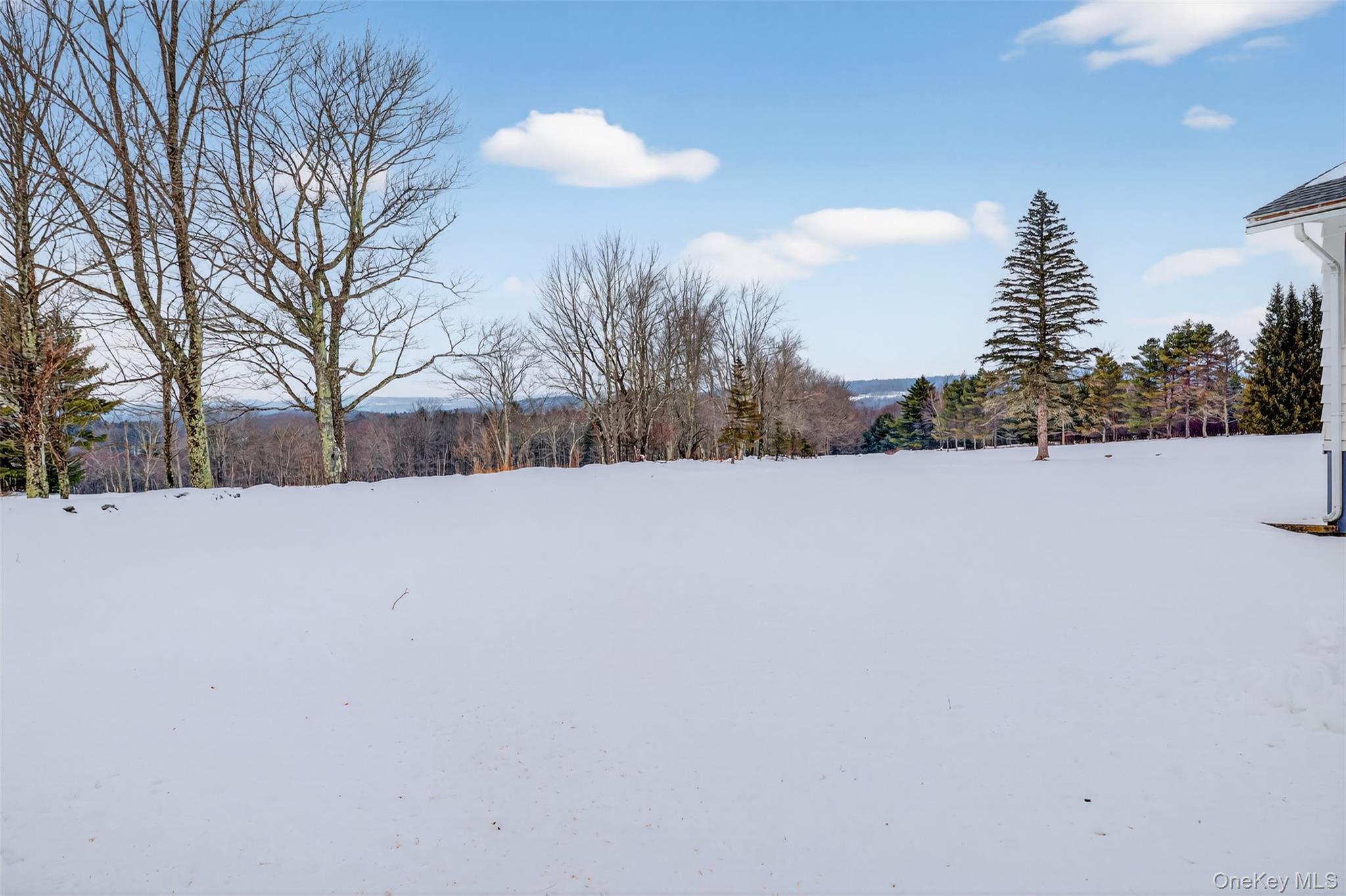 Single Family Rose  Sullivan County, NY 12788, MLS-948588-27